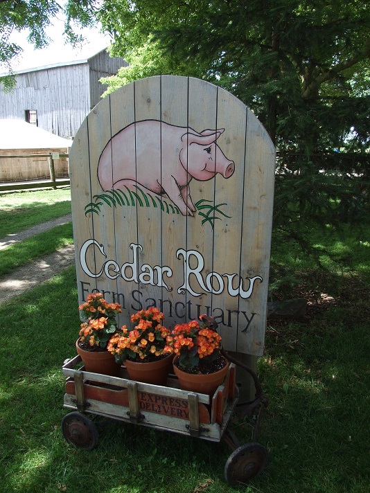 Cedar Row Sign