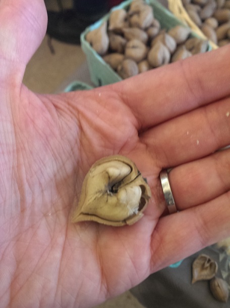 heart nut from farmers market