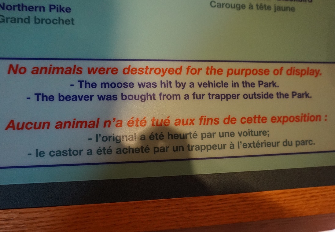 No Animals Were Destroyed for the purpose of display