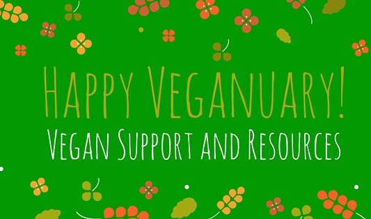 Veganuary and an offer of support smallery